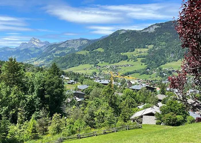 Rez De Jardin Megève